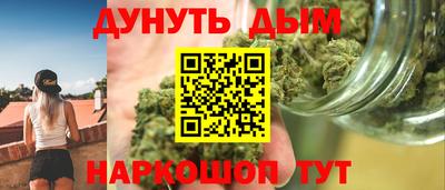 дурь Бердск