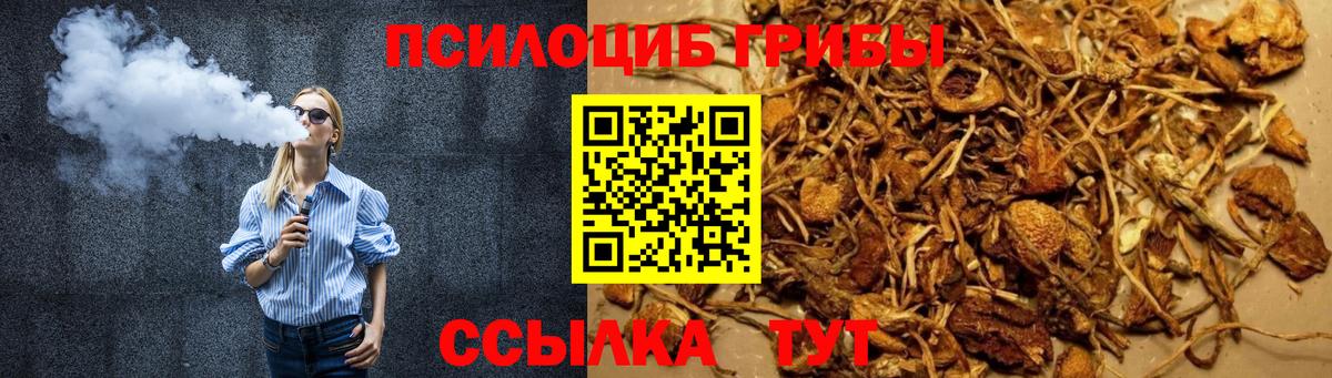 Псилоцибиновые грибы ЛСД Бузулук