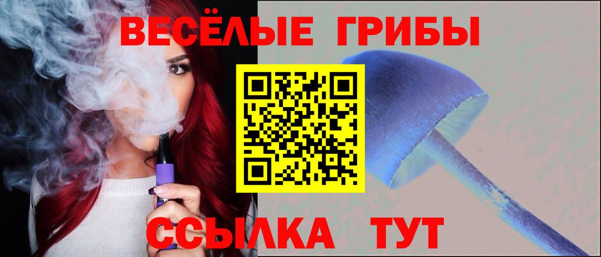 Галлюциногенные грибы MAGIC MUSHROOMS  Вход с VPN  Бузулук 
